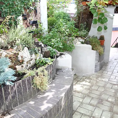 Weinberg Mit Nizza Gleisweiler