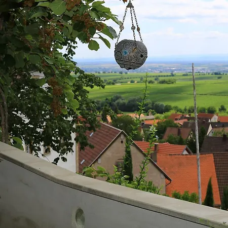 Weinberg Mit Nizza Hotel 3*