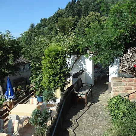 Weinberg Mit Nizza Gleisweiler