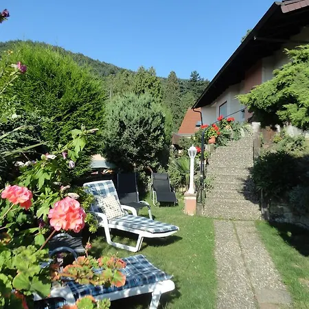 Weinberg Mit Nizza