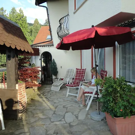 Weinberg Mit Nizza Hotel 3*