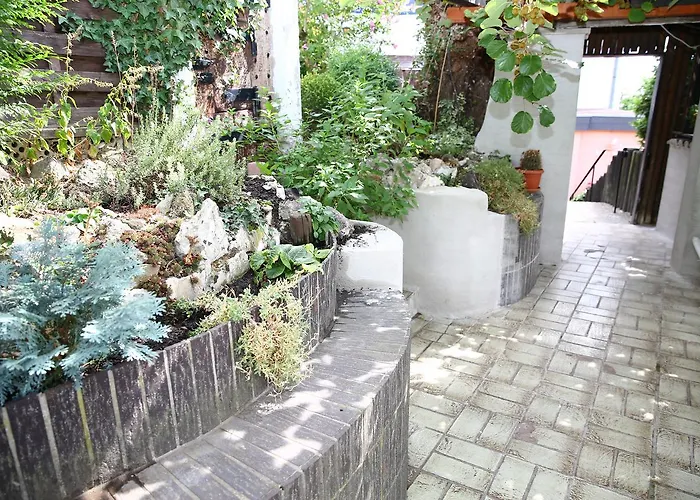 Weinberg Mit Nizza Gleisweiler