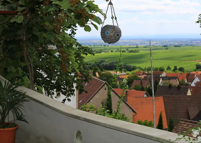 Weinberg Mit Nizza Отель 3*