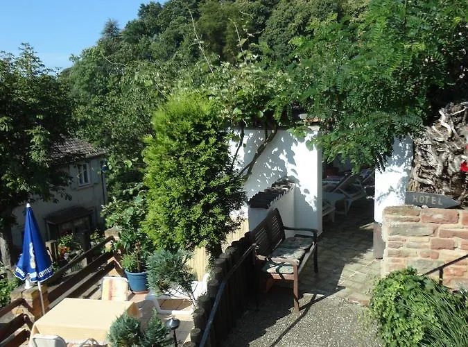 Weinberg Mit Nizza Gleisweiler