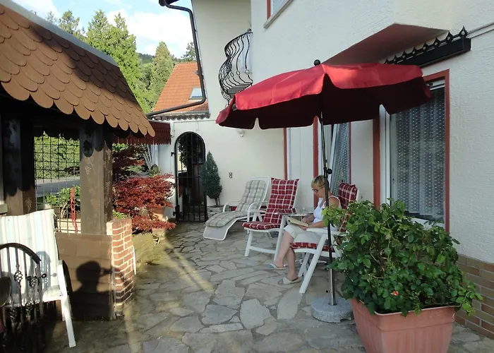 Weinberg Mit Nizza 호텔 3*